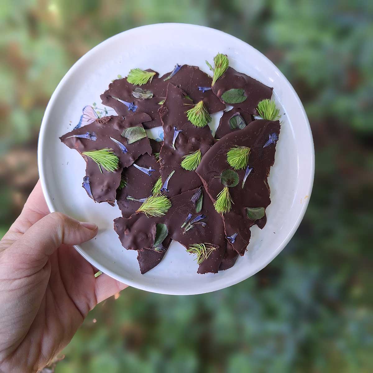 Kúsky čokolády so smrekovými výhonkami a bylinkami na tanieri