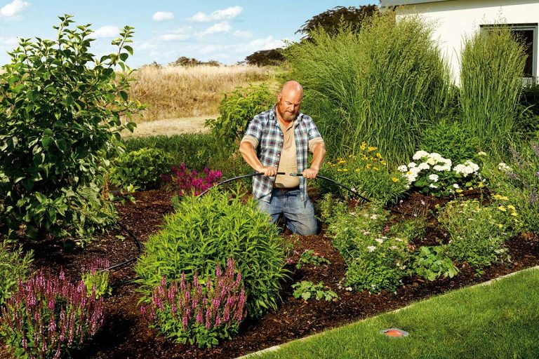 Tipy pre oživenie vašej záhrady krok za krokom
