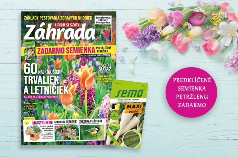 Semienka predklíčeného petržlenu zadarmo a užitočné rady od odborníkov objavíte v novom rozkvitnutom čísle časopisu Záhrada