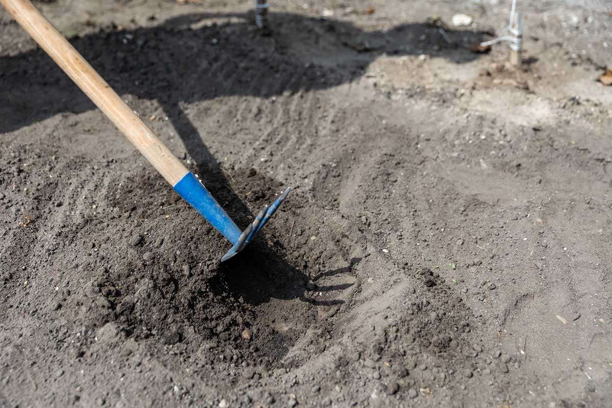 Príprava miesta, kde sa vysadí cuketa