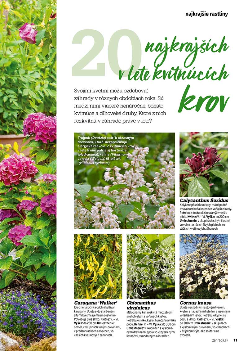 20 v lete kvitnúcich krov v lete
