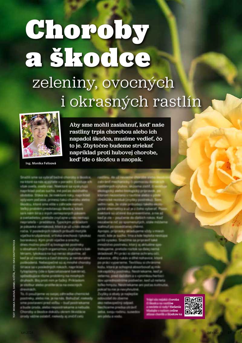 Najčastejšie choroby a škodce v záhrade