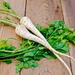 Petržlen záhradný