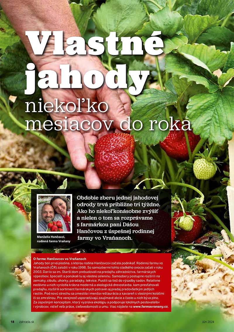 Vlastné jahody niekoľko mesiacov do roka