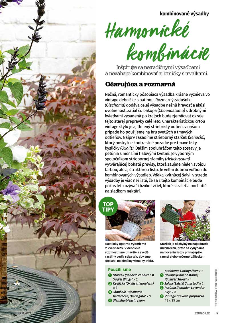 Kombinované výsadby do kvetináčov