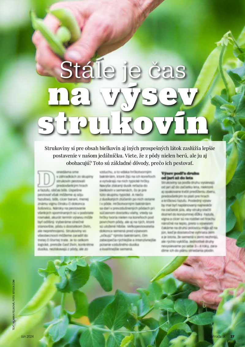 Stále je čas na výsev strukovín