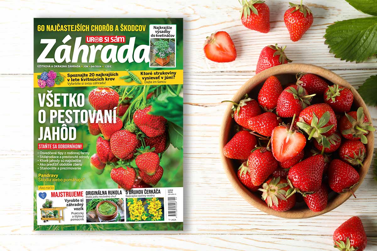 Titulná strana časopisu Záhrada 04/2024
