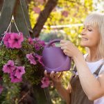 Ako sa v lete starať o letničky