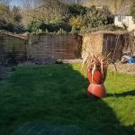 Pôvodný stav záhrady pred úpravou