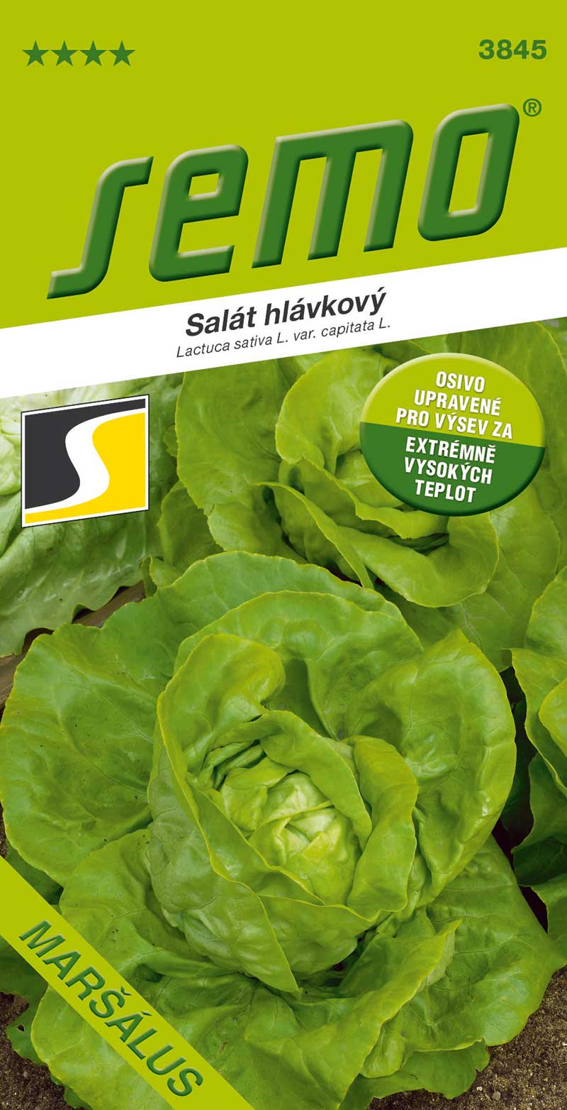 Osivo poľného šalátu MARŠÁLUS