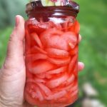 Domáca fermentovaná zelenina