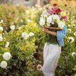 Najkrajšie v lete kvitnúce rastliny