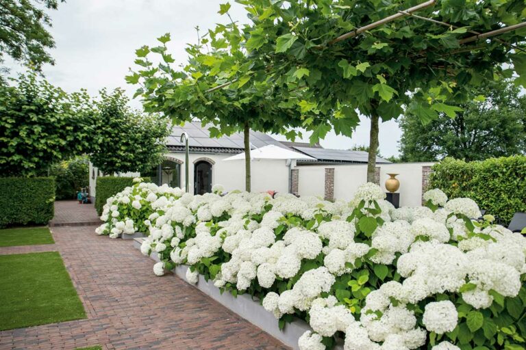 Záhrada nemusí byť iba kvetinová. Preskúmajte neobvyklé možnosti