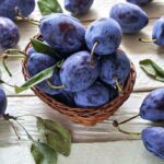 Nové odrody sliviek