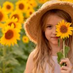 Rozmanitosť farieb a typov slnečnice ročnej