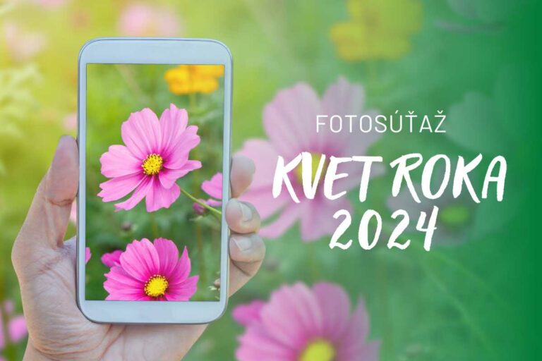 Súťaž Kvet roka: Vypestovali ste tento rok najkrajší kvet v okolí? Pošlite nám fotku a vyhrajte