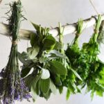 Ako sušiť a skladovať bylinky