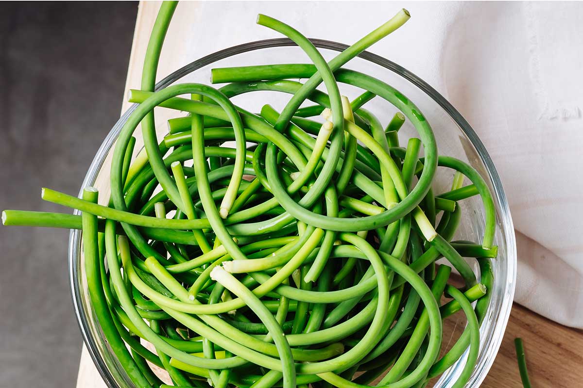 Kvetné stvoly cesnaku paličiaku