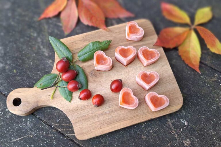 Testovali sme recepty na zdravé cukríky zo šípok. Pozrite sa, ako to dopadlo!