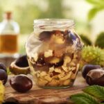 Tinktúra z pagaštanu konského