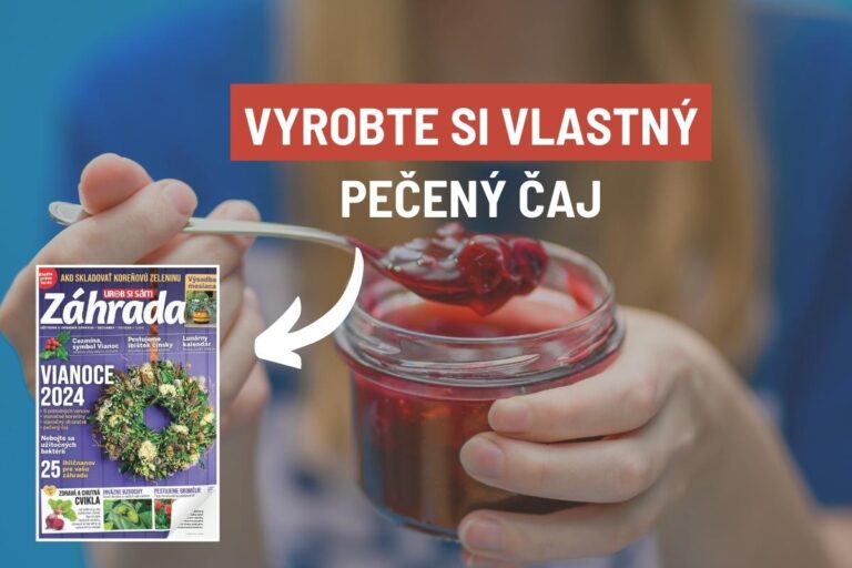 Už ste ochutnali pečený čaj? Využite prebytky ovocia a pripravte si ho s nami krok za krokom