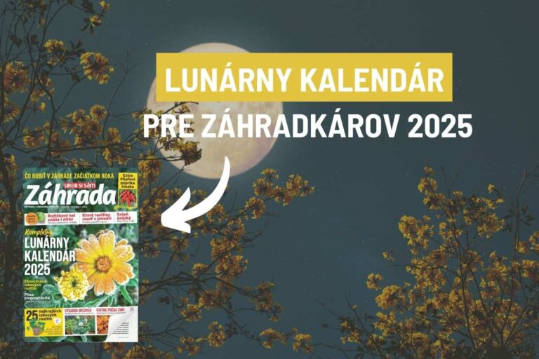 Lunárny kalendár je pre každého. Poslúži vám ako pripomienka prác v záhrade