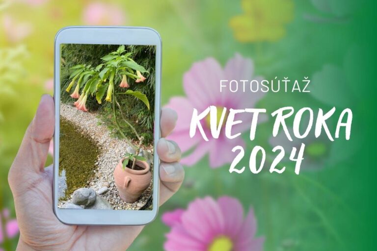 Súťaž Kvet roka: Ktoré fotografie získali najväčší počet hlasov a vyhrali?