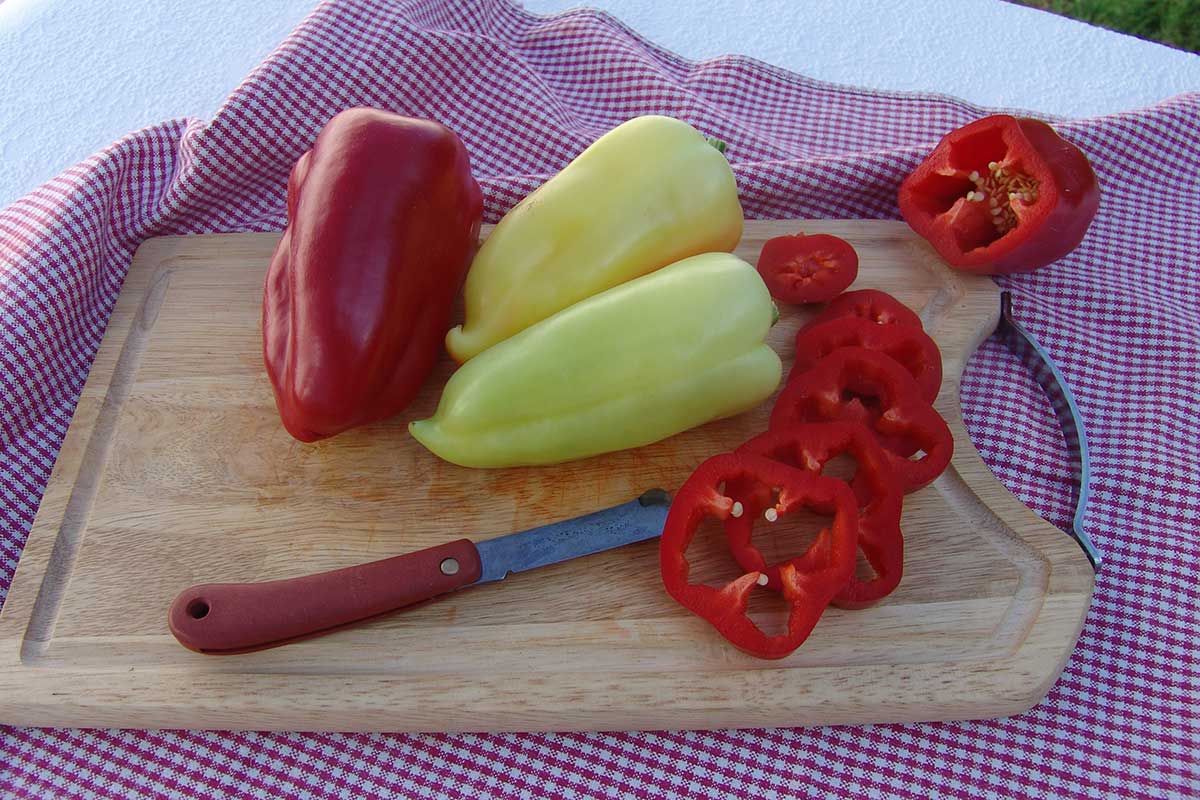 Paprika ročná ‘CYNTHIA F1’