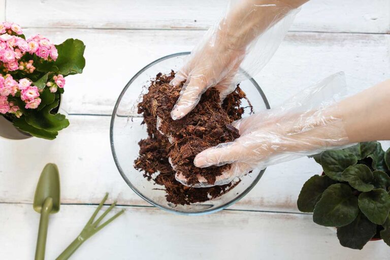 Tri metódy, ako zbaviť nový substrát škodcov. Posledná je ekologická a úplne jednoduchá!