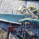 Januárové práce v záhrade