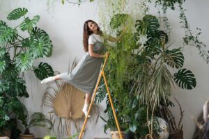 25 najkrajších izbových rastlín: Vybrali sme skutočné skvosty, ktoré si poradia s rôznymi podmienkami