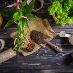 Prírodné hnojivá rastlín z nechtov a rohov