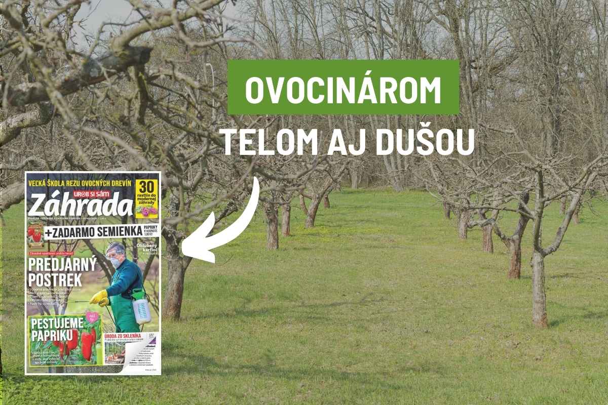 Článok Ovocinár telom aj dušou v časopise Záhrada