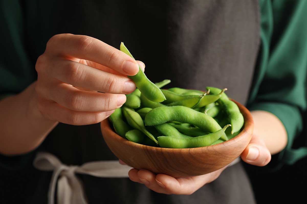 Zelené ázijské fazule edamame