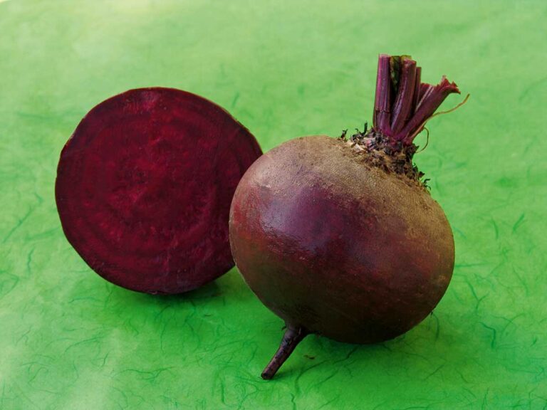 Ktorá zelenina nesmie doma chýbať? Vypestujte si zásoby na celý rok