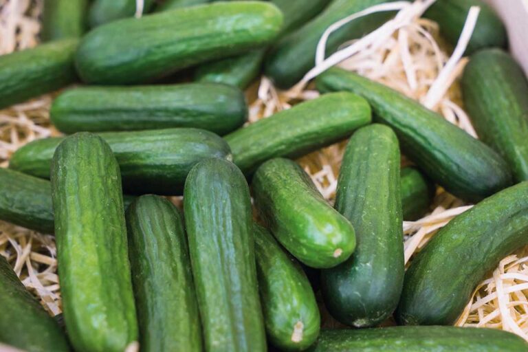 Vybrať si správne šalátové uhorky je umenie. Tieto tri budú správnou voľbou!
