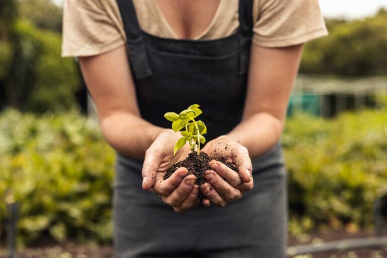Prečo používať prírodné hnojivá a v čom sú lepšie ako chemické?