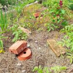 Podomácky vyrobené zavlažovacie kvetináče inšpirované nádobami olla