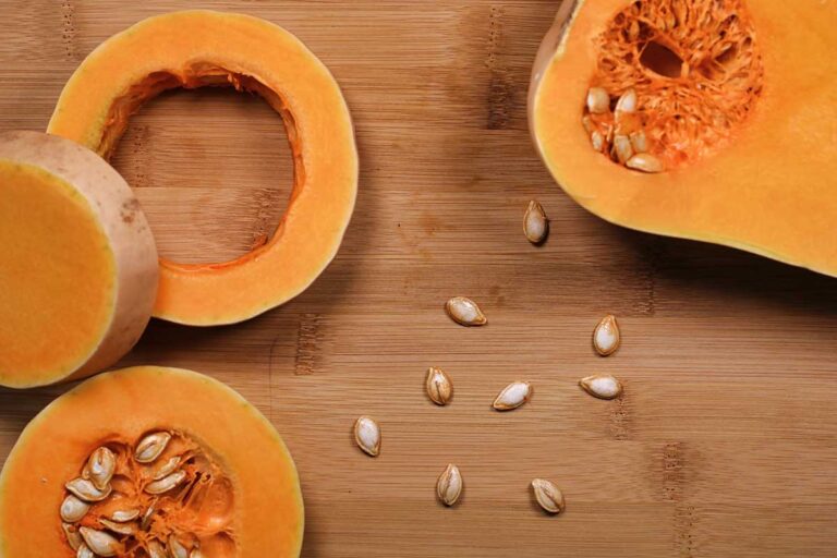 Muškátová tekvica pre chuť, cuketa pre semienka – spoznajte ich výhody