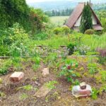 Metóda zavlažovania záhrady pomocou nádob olla