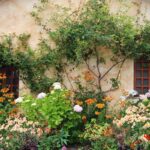 Najkrajšie rastliny do vidieckej záhrady