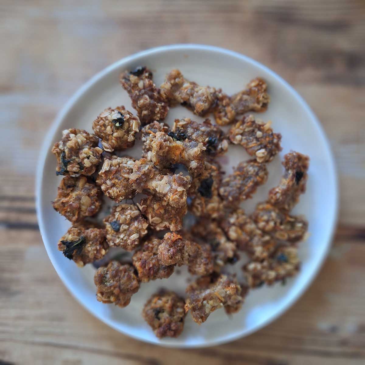 Recept na tuniakové pamlsky pre psy