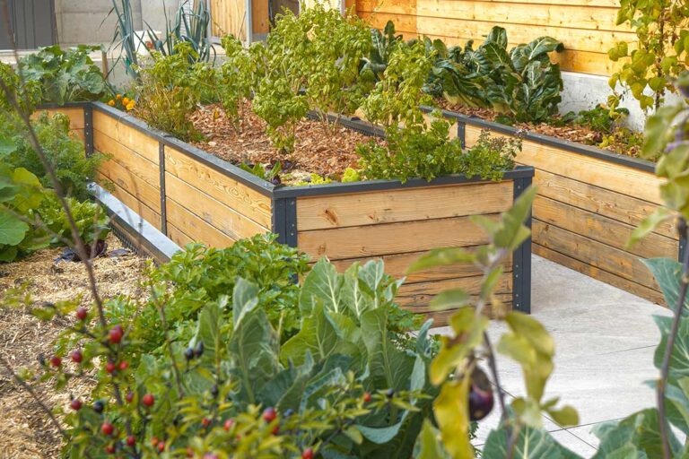 Vyvýšené záhony z obyčajných ohobľovaných dosiek: Je to dobré riešenie?
