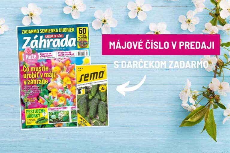 Májovými prácami vás prevedie nové číslo časopisu Záhrada. Už v predaji aj so semienkami uhoriek zadarmo!