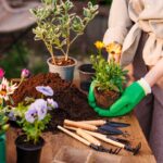 Májové práce v okrasnej záhrade