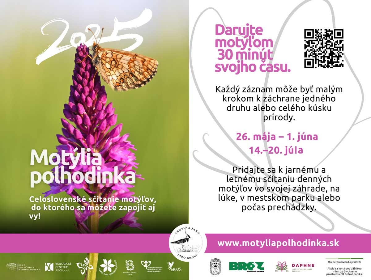 Motýlia polhodinka 2025