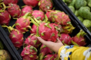 Výsevy zo zelovocu: 15 exotických rastlín, ktoré si môžete vypestovať doma