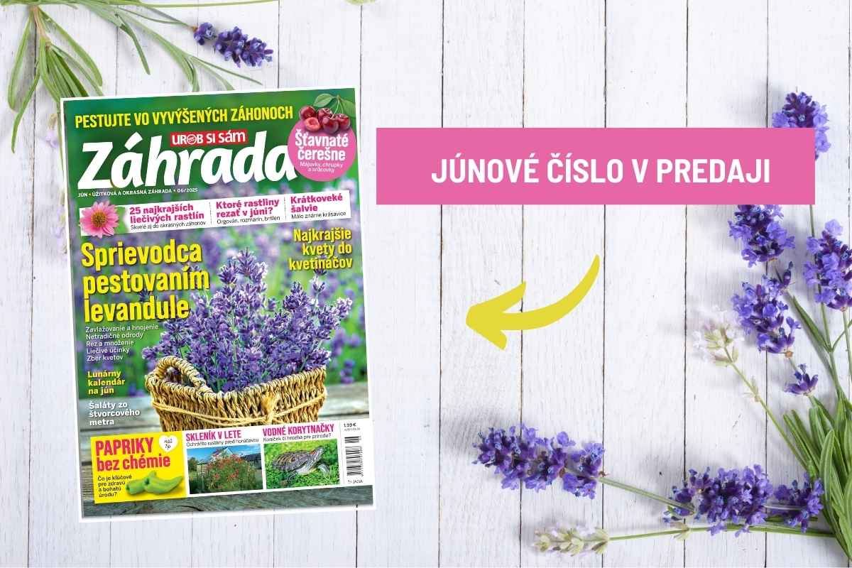 Júnové číslo časopisu Záhrada 06/2025