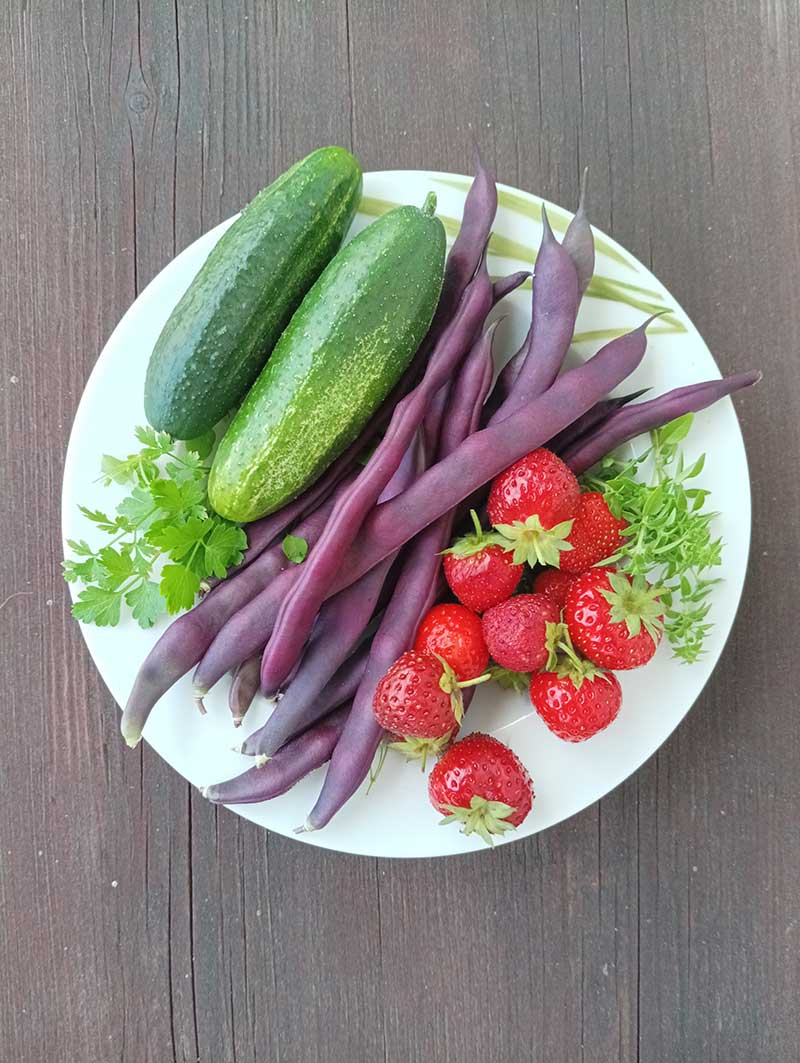 Zber úrody z balkóna