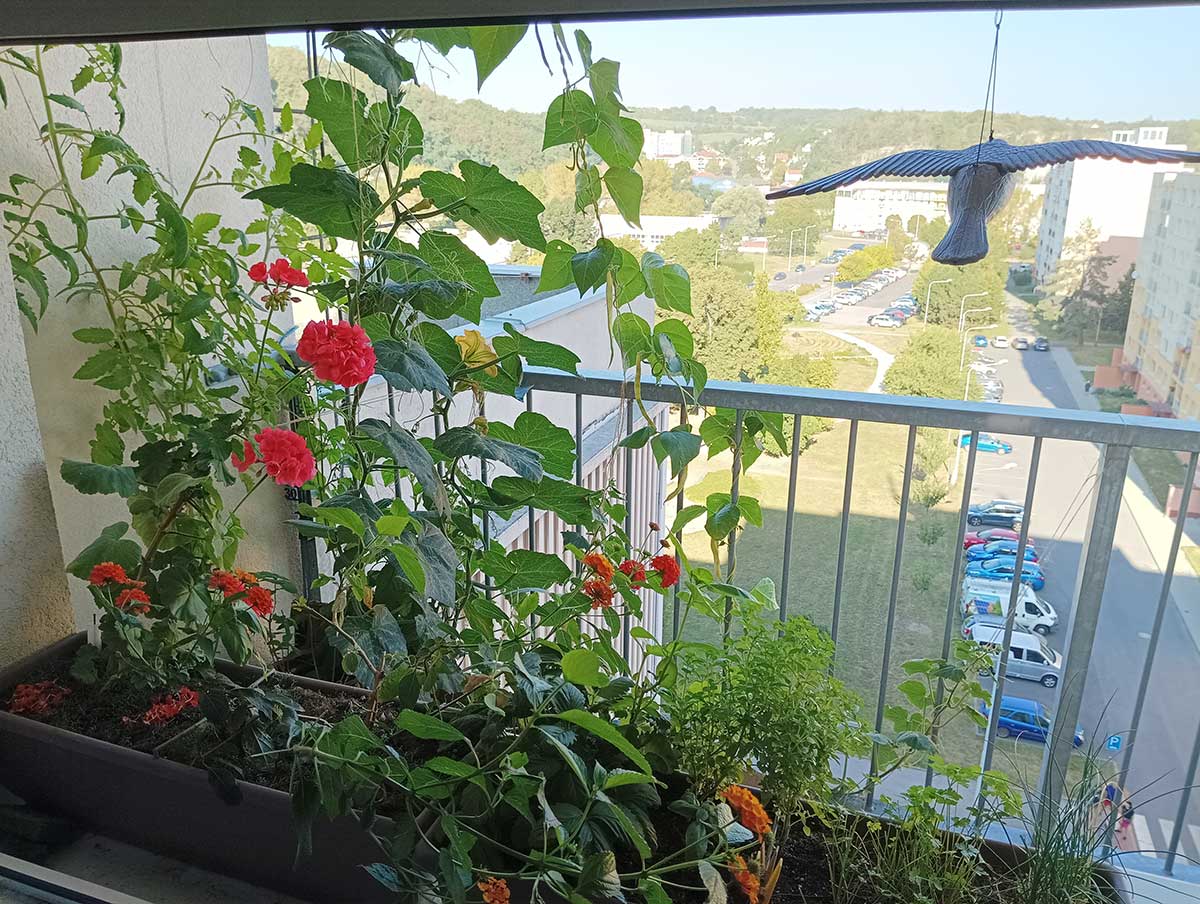 Vták z umelej hmoty ako plašič holubov na balkóne